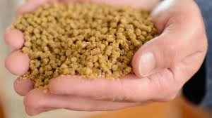 Future Scenarios Organic Feed Additives Market Expected to Hit USD 49.8 Billion by 2032