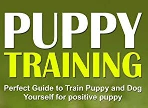 How to Train Your Puppy