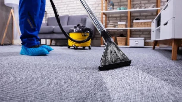 Home Cleaning Services Melbourne: Your Ultimate Flooring Care Handbook