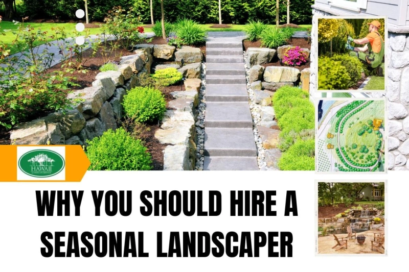 Why You Should Hire A Seasonal Landscaper