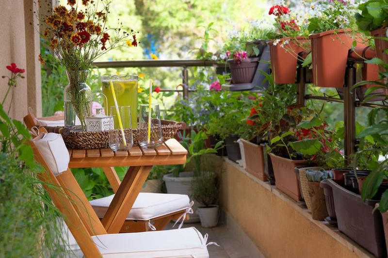 Pot Clips: A Gardener's Choice
