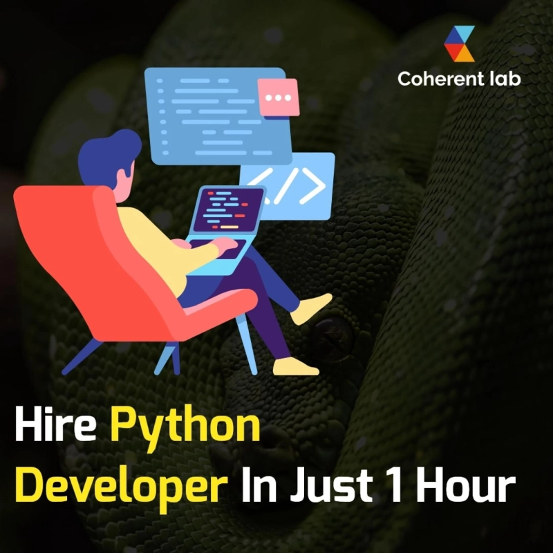 Three Ways to Find a Python Developer
