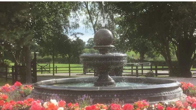 The Science Behind the Soothing Sounds of Water in Garden Features