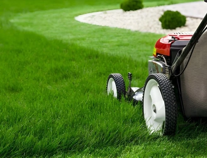 Walnut Ridge Landscape & Design: Nurturing Lush and Vibrant Lawns with Expert Lawn Services