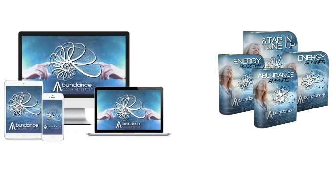  The Abundance Accelerator