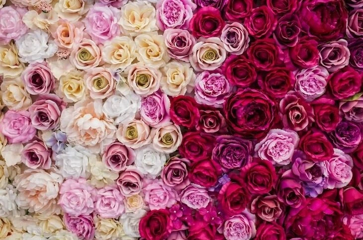 The Secret Meanings of Flowers