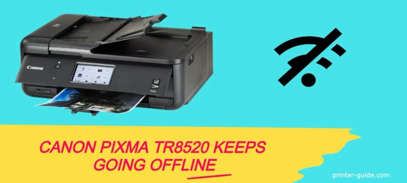 What should I do if my Canon Pixma TR8520 continues offline?