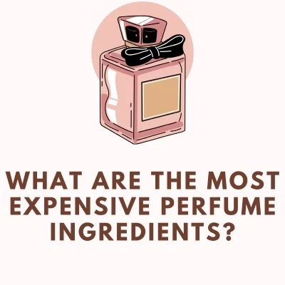 What Are The Most Expensive Perfume Ingredients?