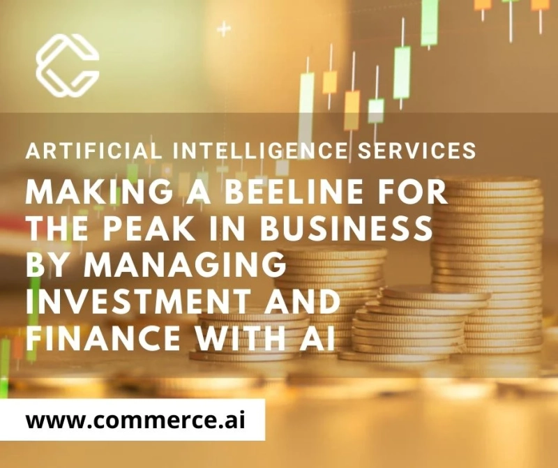 Making a Beeline for the Peak in Business by Managing Investment and Finance with AI
