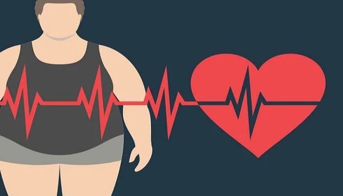 Causes Of Obesity Explained