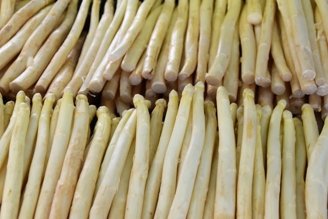 White Asparagus in Stockholm – Our Culinary Journey from Farm to Plate at Östgötakällaren