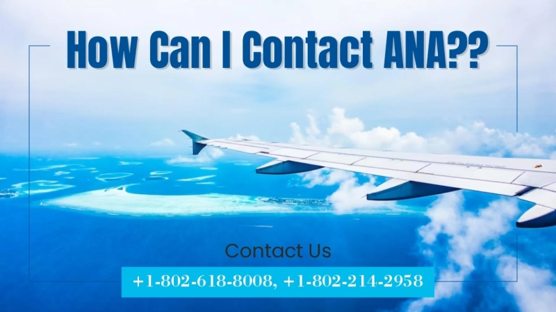 Can I cancel a flight with ANA Airlines?