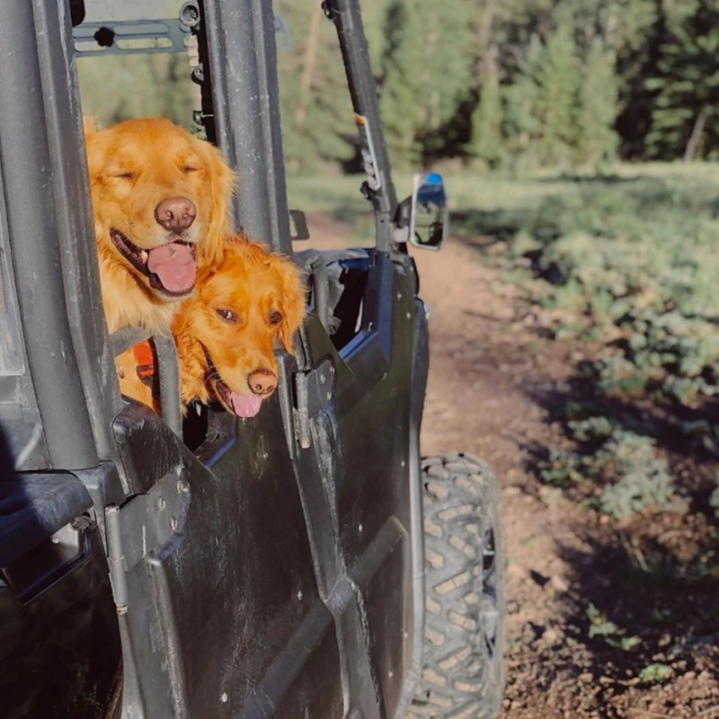 3 Reasons to Go ATVing Before the Fall Season