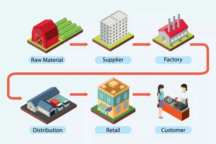 Digital Supply Chain Management: The Shift from Traditional to Modern Systems