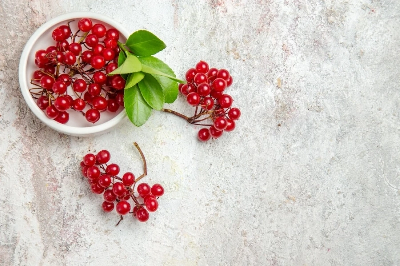 Cranberry Fruit: Health Benefits And Nutritional Value