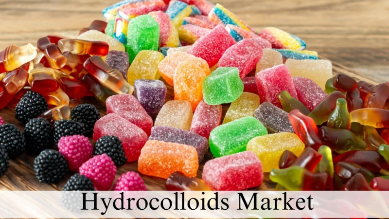 Hydrocolloids Market Size, Overview and Growth Trends Through 2032