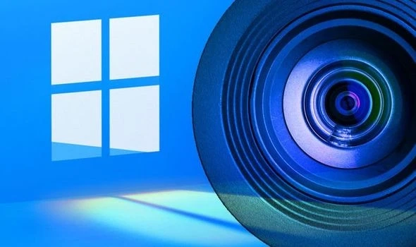 Check Out the Survey’s Assertions Regarding Windows 11