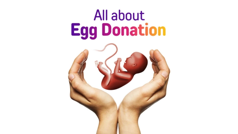 The Gift of Life: Exploring the Benefits of Egg Donation