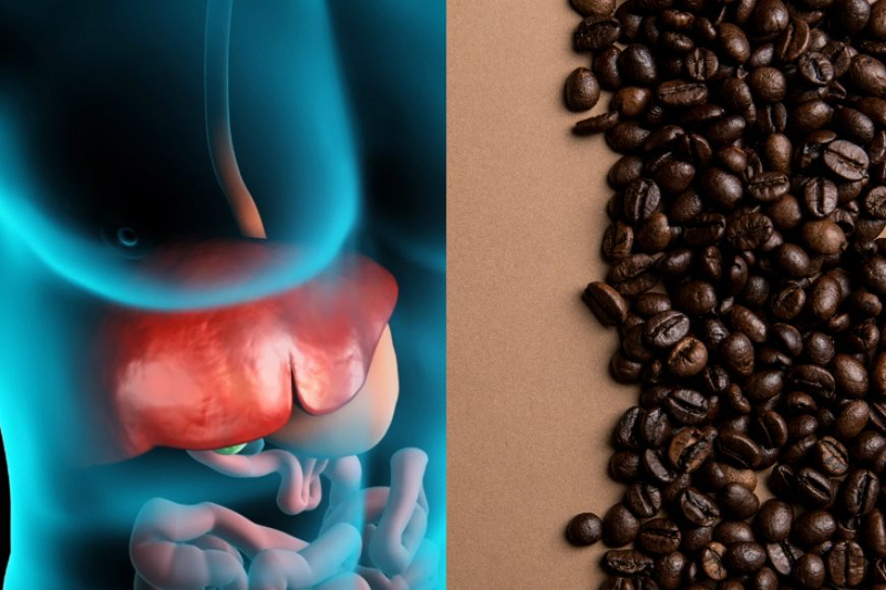 Coffee Can Enhance Your Liver Health