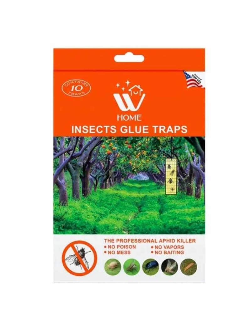 How to Find Best Glue Traps For Insect Killer