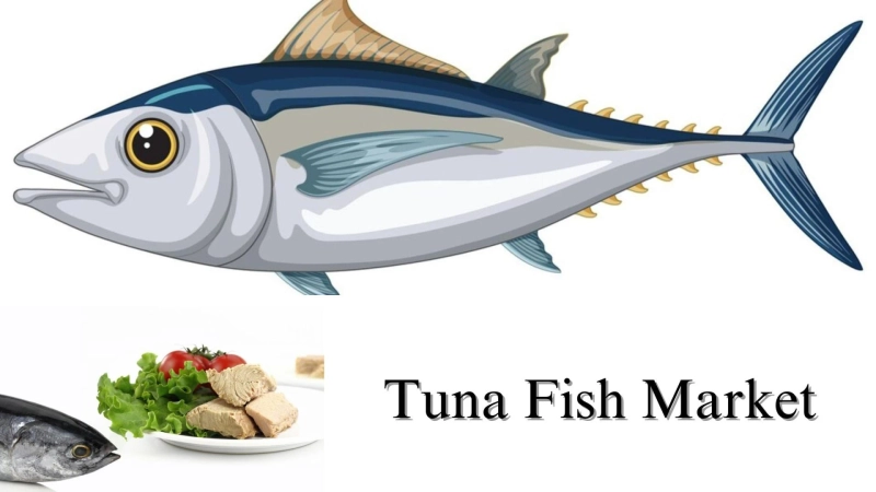 Tuna Fish Market, Size, Share, and Growth Forecast to 2032