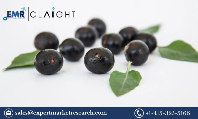 Global Acai Berry Market Size, Trends, Analysis, Report And Forecast 2024-2032