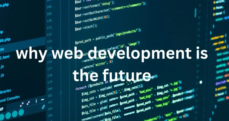 why web development is the future