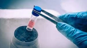 Cryopreservation Equipment in Stem Cells Market Size, Share, Growth, Trends, Global Industry Analysi
