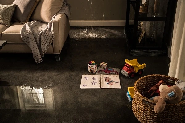 One-Stop Solution To Recover Your Property From Impact Water Damage