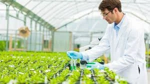 Agricultural Biologicals Market Size 2021 | Industry Share, Growth, Trends And Forecast 2026