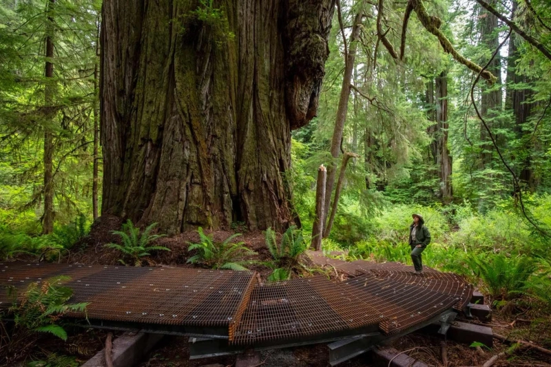 Uncovering The Untamed West A Wild Adventure In Jedediah Ravine