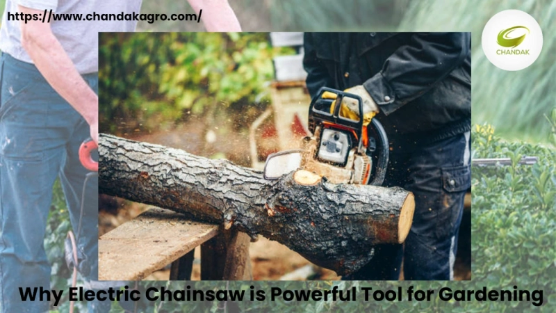 Why Electric Chainsaw is Powerful Tool for Gardening