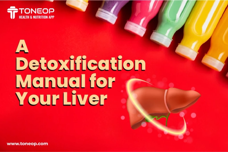 A Guide To Liver Detoxification