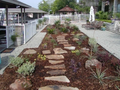 How to Fix Patchy or Bare Spots in Your Lawn
