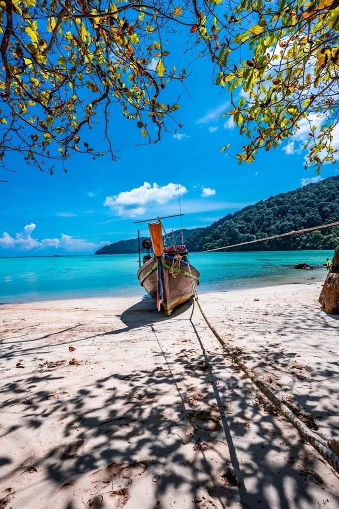 Prepare to travel to Surin Island on 15 October