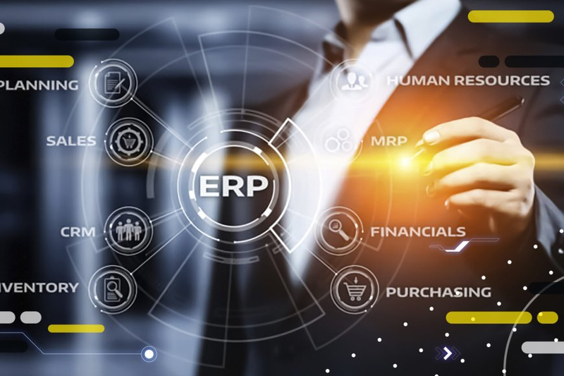 Empowering Business Success: A Comprehensive Guide to Enterprise Resource Consulting