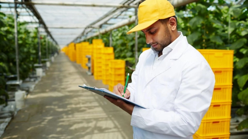 Fruit Quality Control in China: Ensuring Freshness and Safety for Your Business