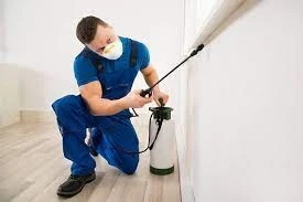 From Ants to Bedbugs: Our Comprehensive Guide to Dealing with Pests