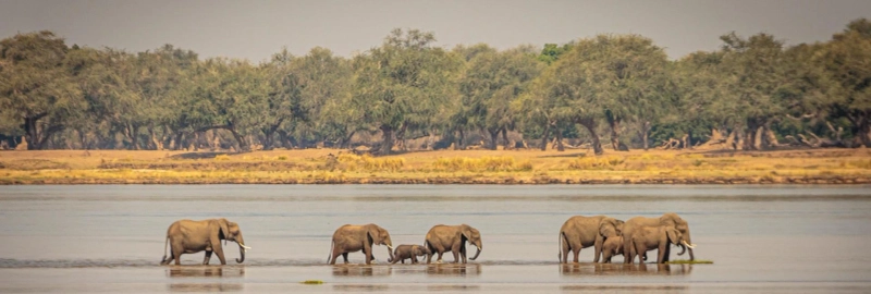 African Travel Guide to Africa Tours and Safaris with the Perfect Safaris & Beach Experience