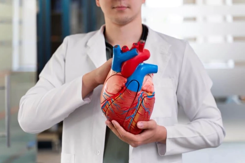 Heart Transplant Surgery - How It Works & Its Benefits