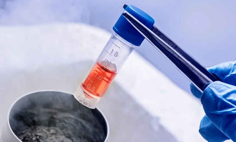 Global Cell Cryopreservation Market is Estimated To Witness High Growth Owing To Technological Advancements