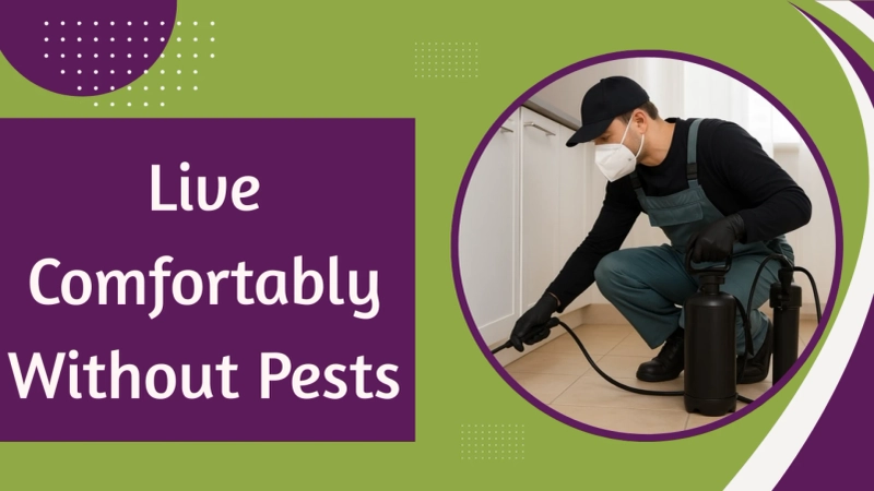 Why Are Expert Pest Control Services Using Safe Methods Important?