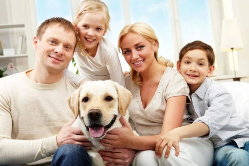 Exceptional Family Dentistry in Oakville for Every Generation