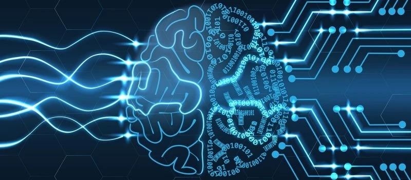 How a Professional E-2 Visa Business Plan Writer Can Help You Succeed