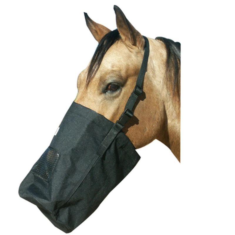 7 Smart Reasons Every Horse Owner Needs an Equine Feed Bag