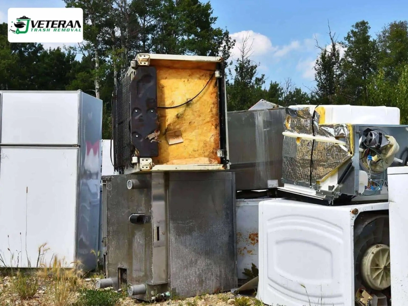 How Trash Removal Services Help Keep Your Property Clean and Safe?