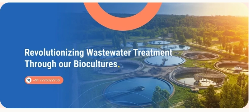 Enhancing Wastewater Efficiency with Bioculture for Sewage Treatment Plants