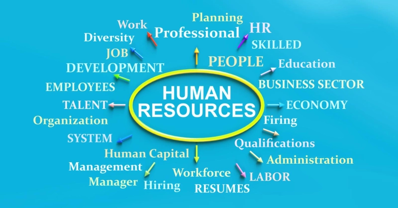 How HR Management Systems Automate Core HR Tasks: A Beginner’s Guide 