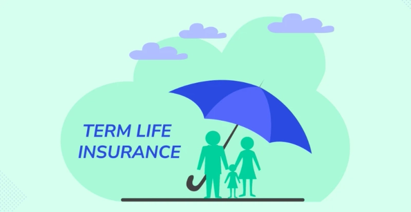 What Happens When Your Term Life Insurance Expires?