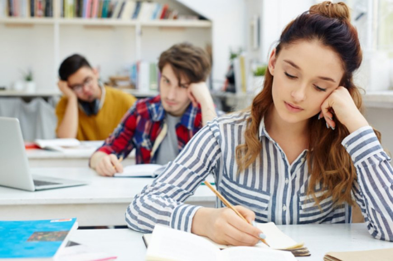 Performance and Progress with MS-900 Practice Tests
